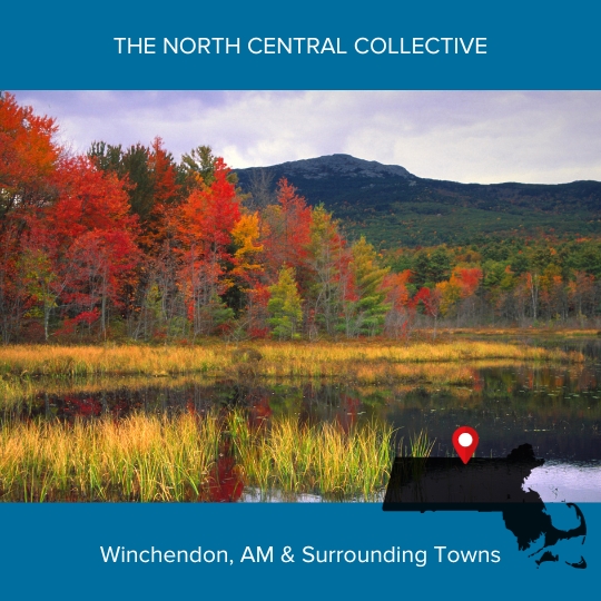 4-The North Central Collective