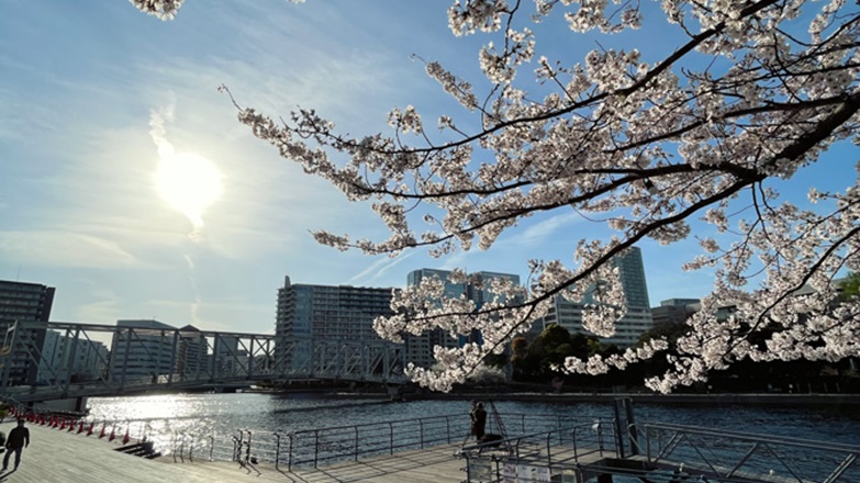 Tokyo-SakuraTokyo