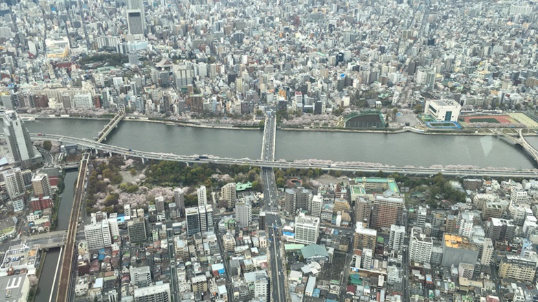 Tokyo-TokyoTowerViewCloudy2017